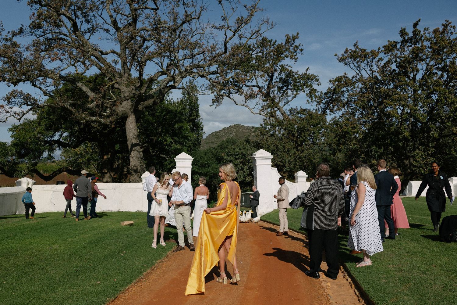 Cape Town wedding photographer Christene de Coning Photography documentary wedding at Babylonstoren.