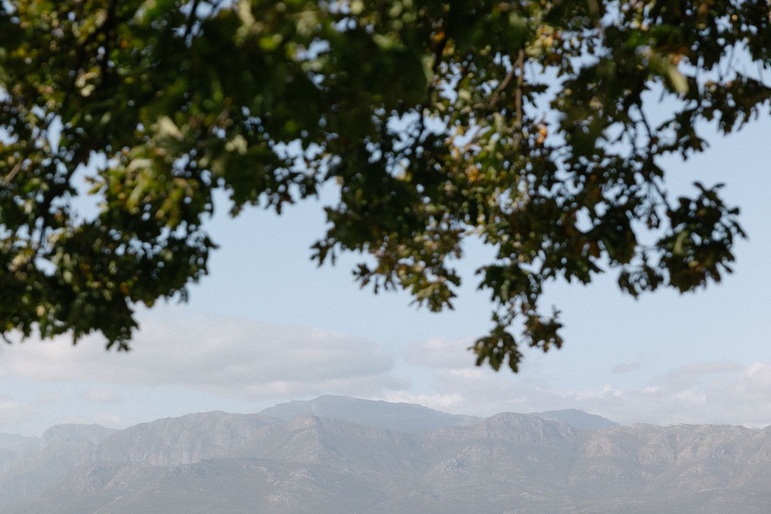 Cape Town wedding photographer Christene de Coning Photography documentary wedding at Babylonstoren.