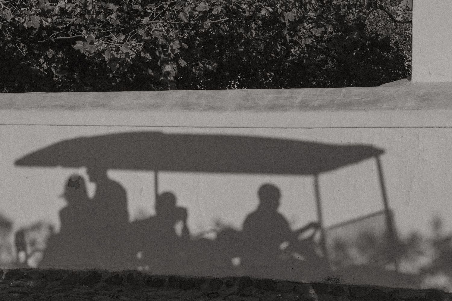 Cape Town wedding photographer Christene de Coning Photography documentary wedding at Babylonstoren.