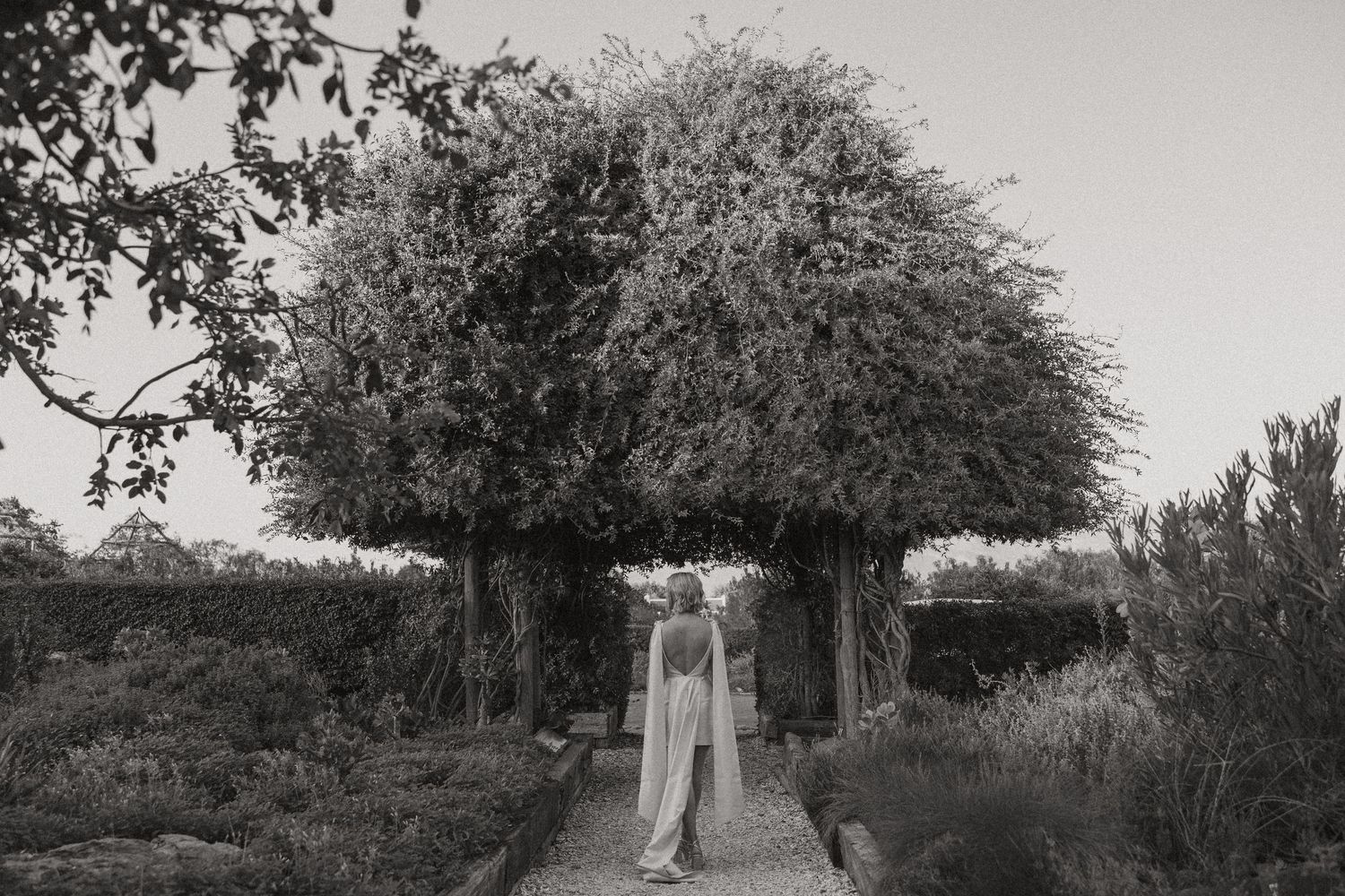 Cape Town wedding photographer Christene de Coning Photography documentary wedding at Babylonstoren.