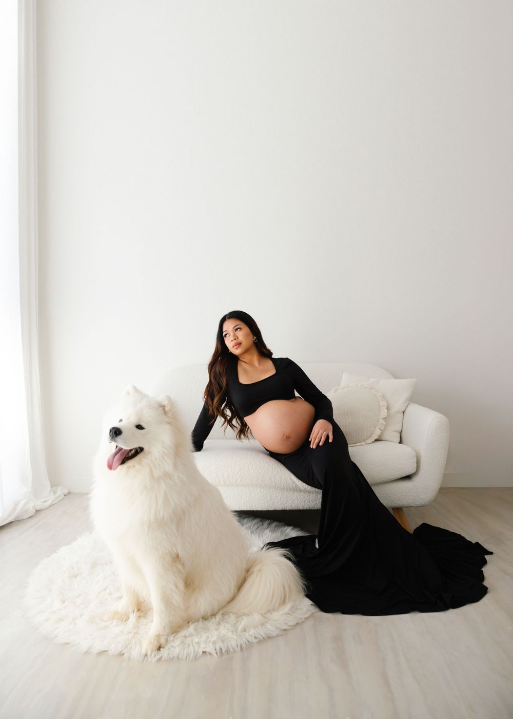 Pregnant woman in black maternity gown poses with white Samoyed dog in bright white studio.