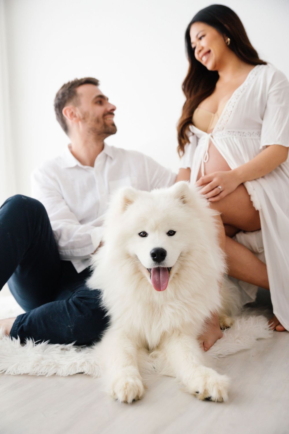 Happy couple expecting a baby poses with a fluffy white Samoyed dog in a bright white studio setting.
