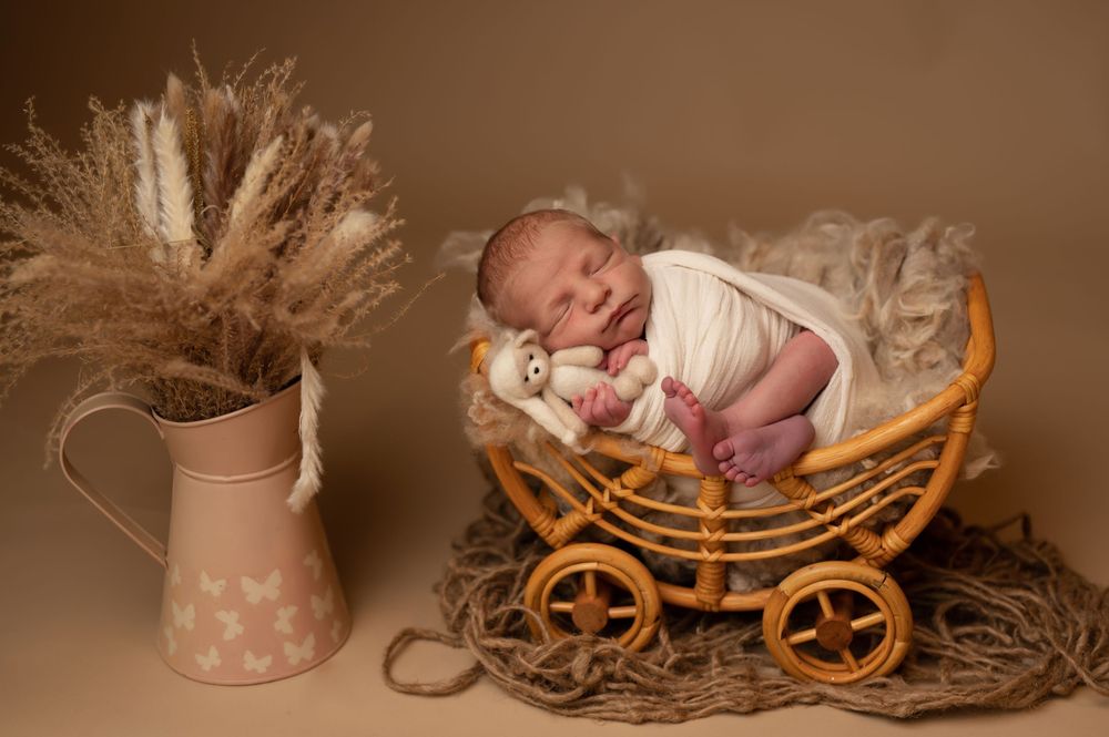 A series of vintage-style newborn photography portraits showing babies in wicker baskets and antique props.