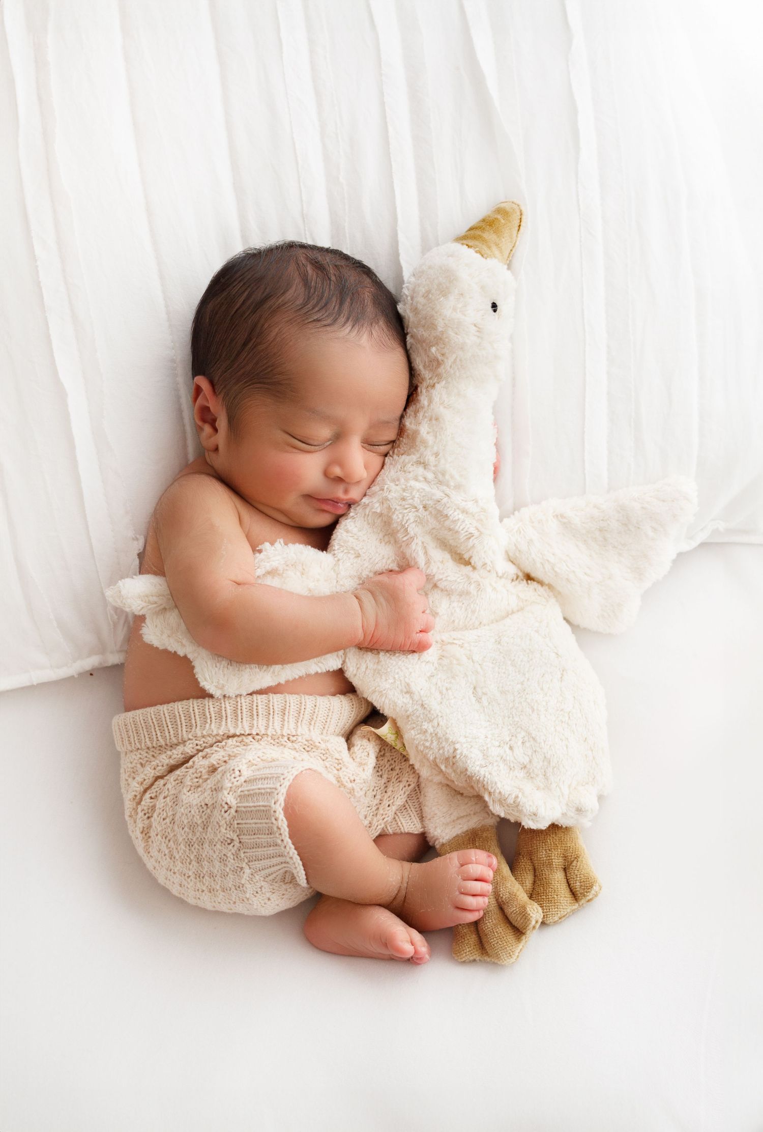 9 day old baby cuddling fuzzy goose stuffed animal
