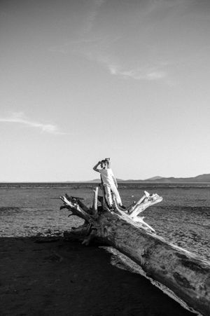 A lone figure sits atop a large piece of driftwood in a minimalist black and white landscape.