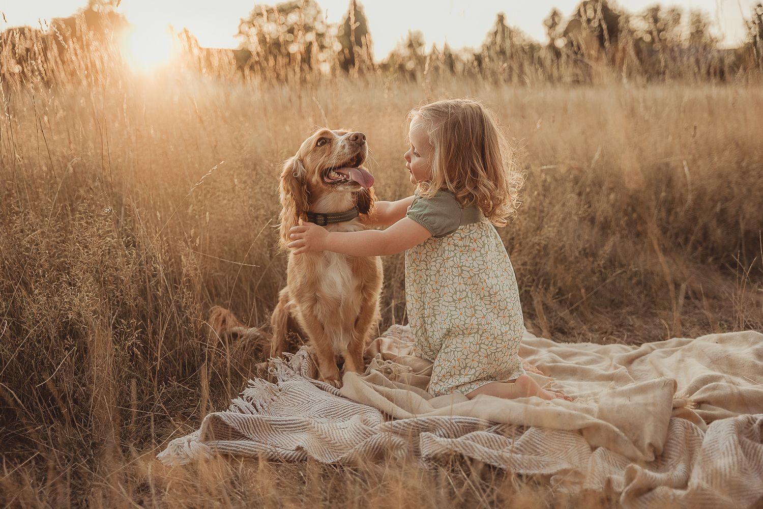A family shares a tender moment together on a blanket in a sunlit field.