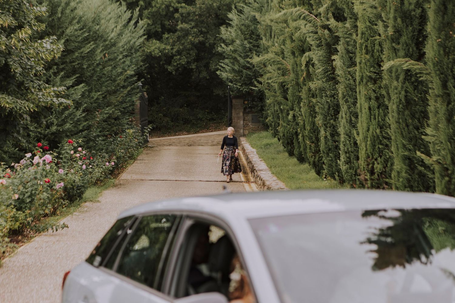 A scenic tree-lined driveway with cypress trees and a parked car.