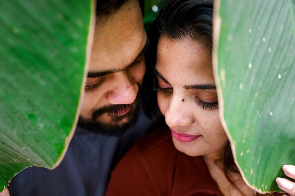 A close-up shot framed by green tropical leaves in natural lighting.