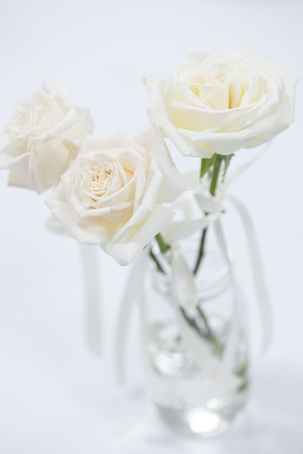 Elegant white roses in a clear glass vase against a light background with soft focus and minimalist styling.