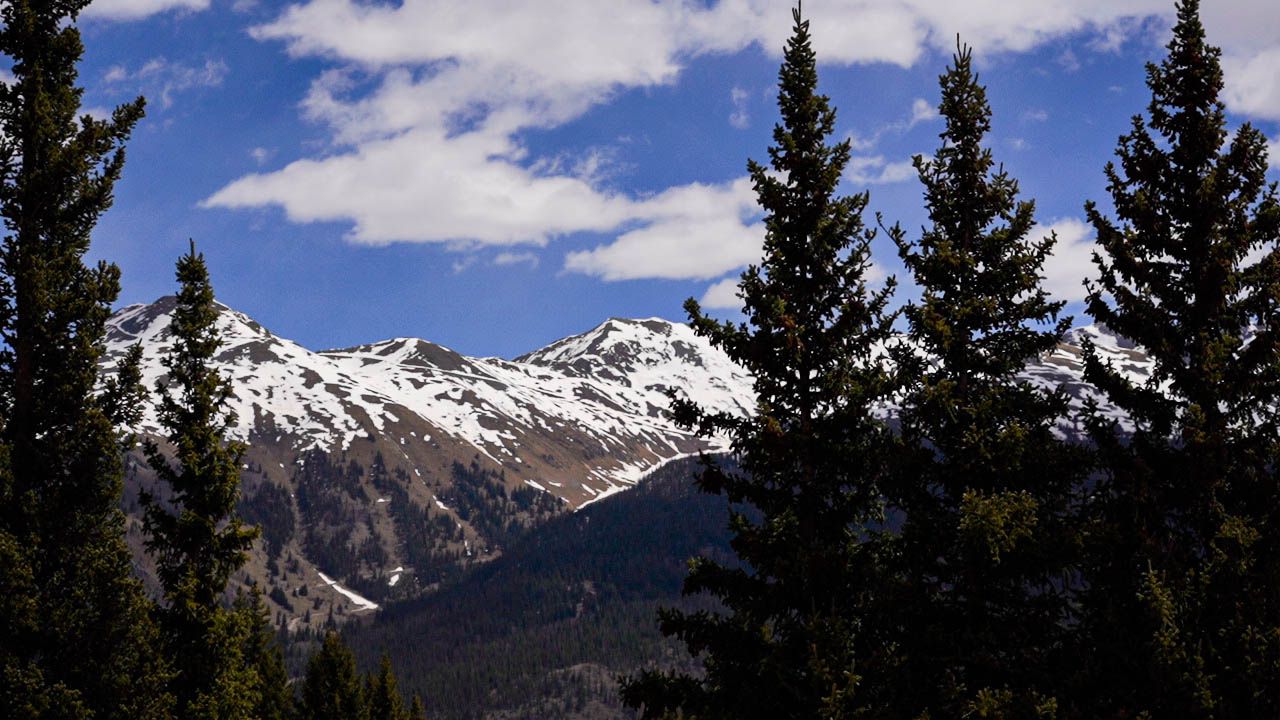 Snow-capped mountain peaks rise majestically behind silhouetted evergreen trees against a bright blue sky.