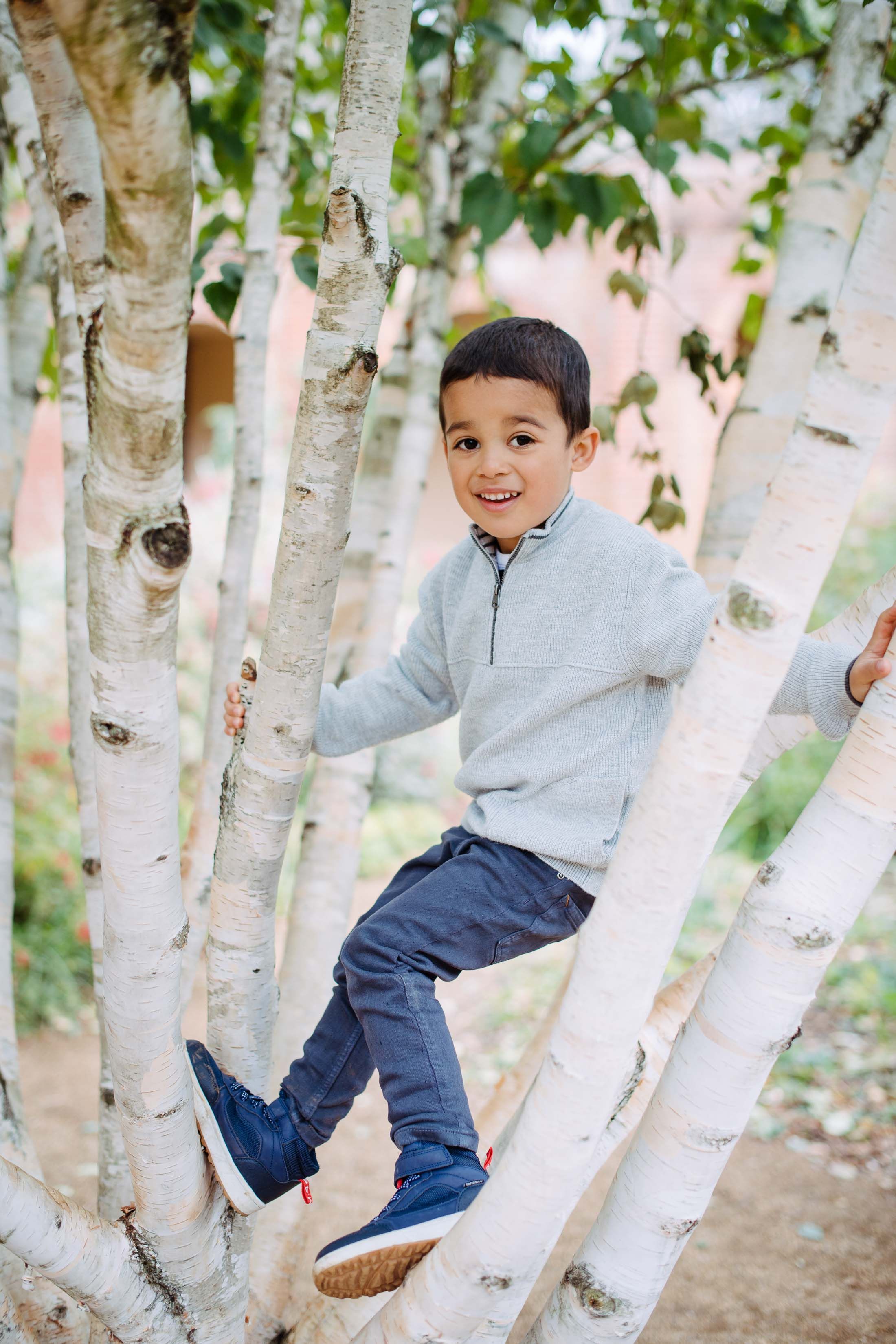 Little boy sitting in a tree in a London park. Wearing jeans and a jumper during his session. London photographer.