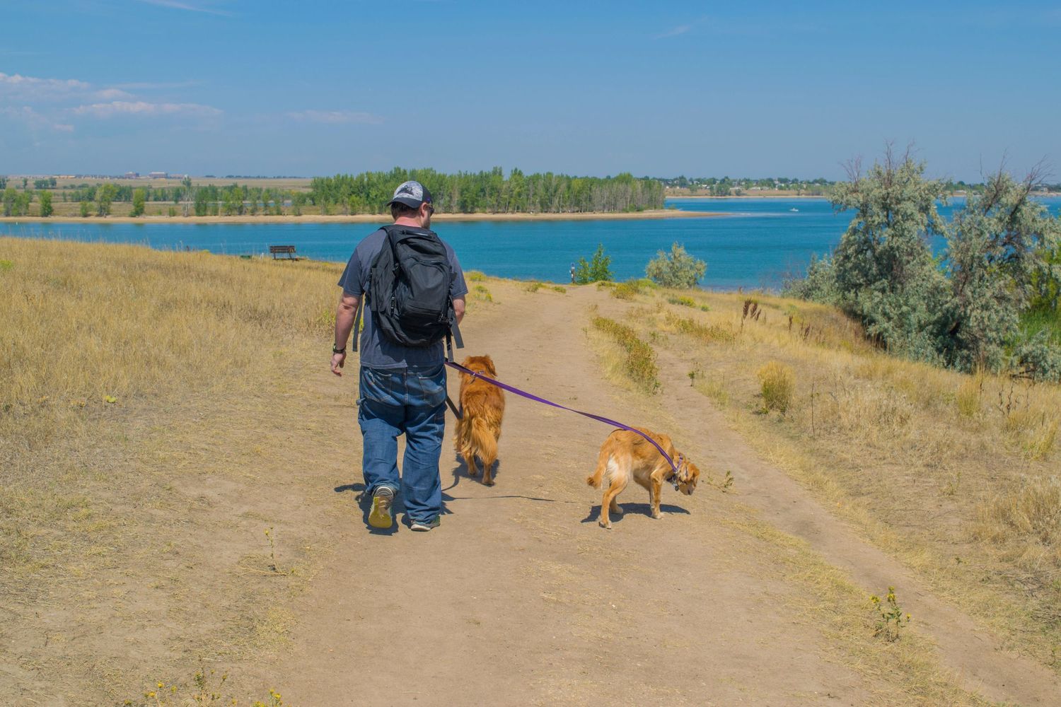 A path along a lake shore where someone walks a dog on a leash through dry grassland.