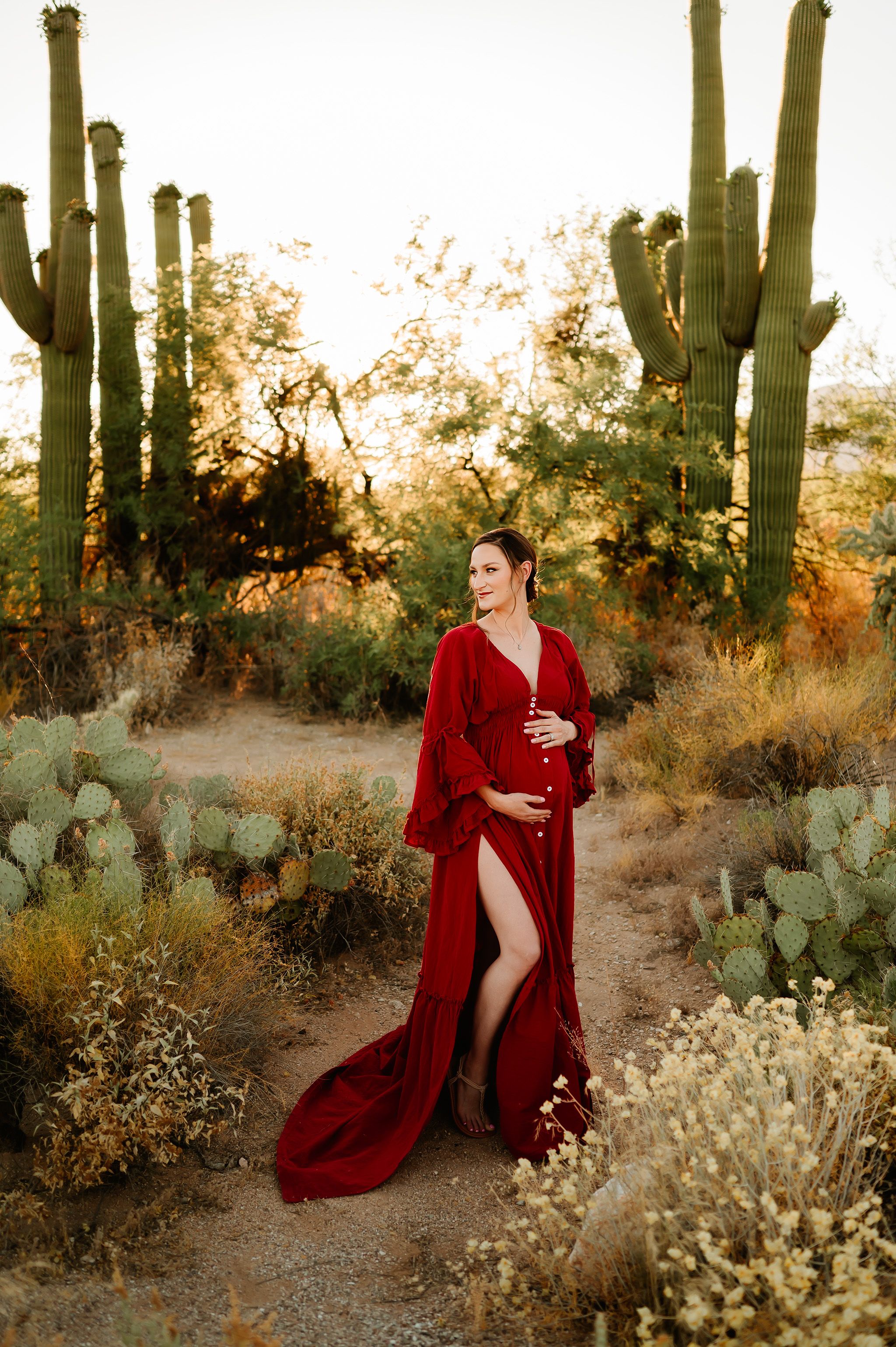 Expecting mother posed under saguaro in Tucson Arizona.