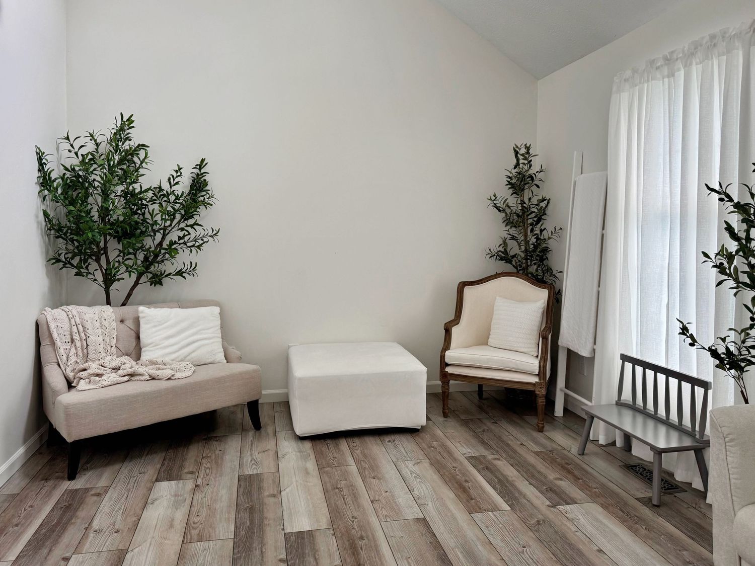 Bright minimalist photography studio with white furniture, wood floors, and potted olive trees.