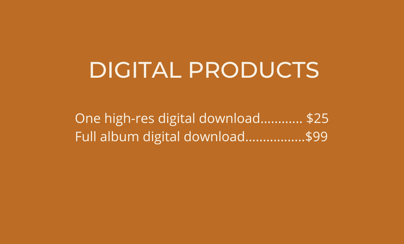 Digital product pricing menu displayed on an orange background.