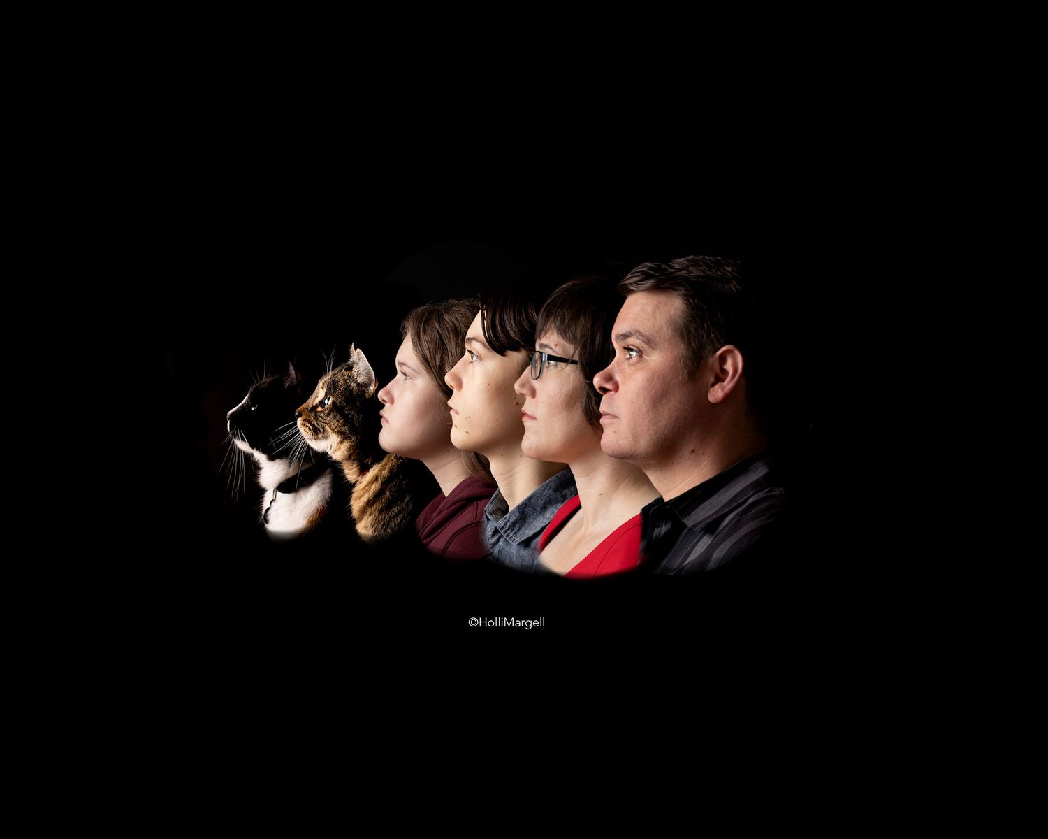 Profile portraits of family and cats facing one direction with light on them and black background by Holli Margell.
