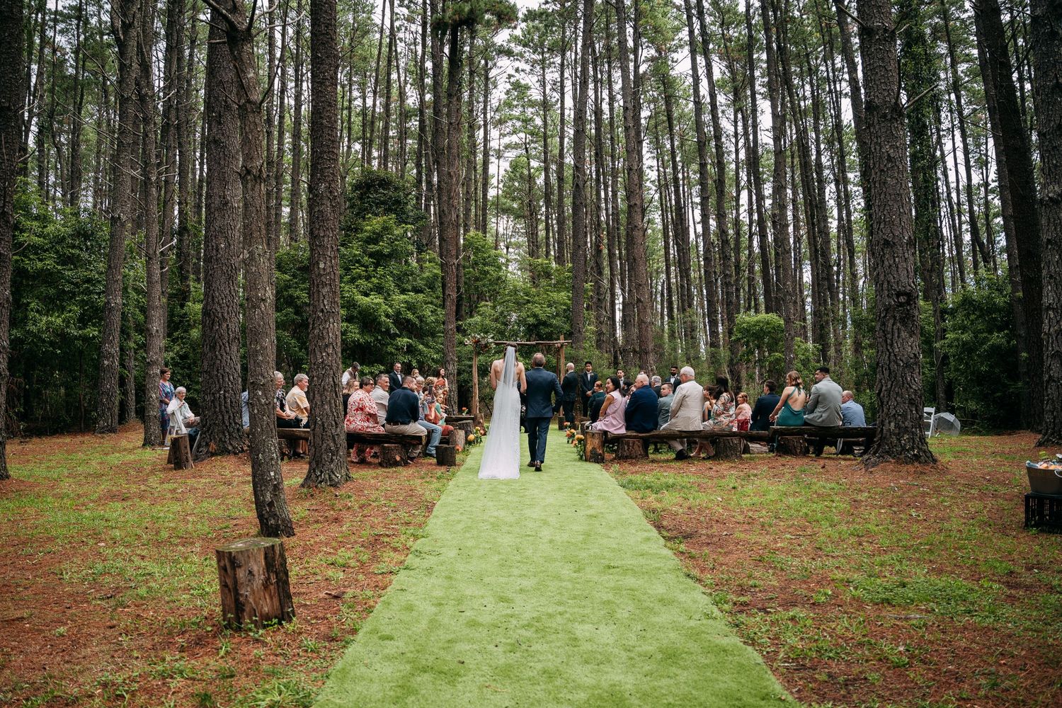 Outdoor forest wedding ceremony with green carpet aisle and guests seated among pine trees.