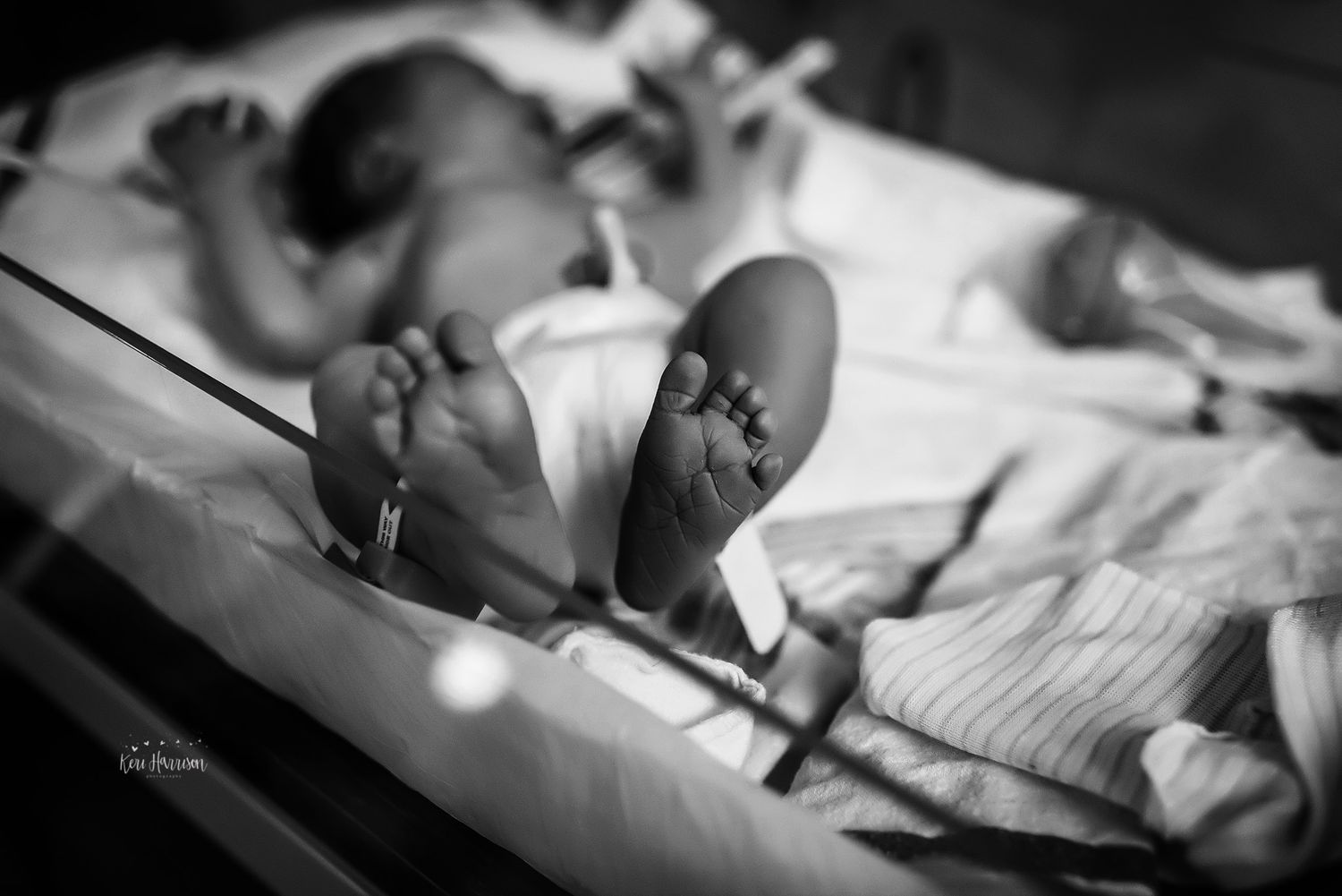Novi Michigan Birth Photographer