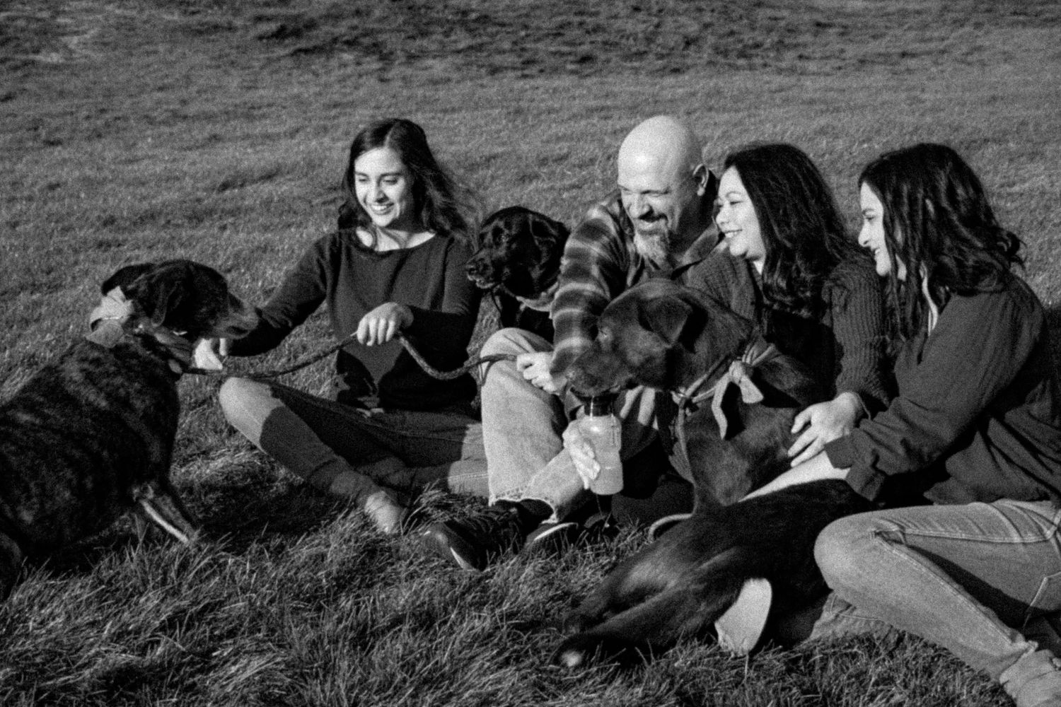 A family sitting in the grass playing with their dogs