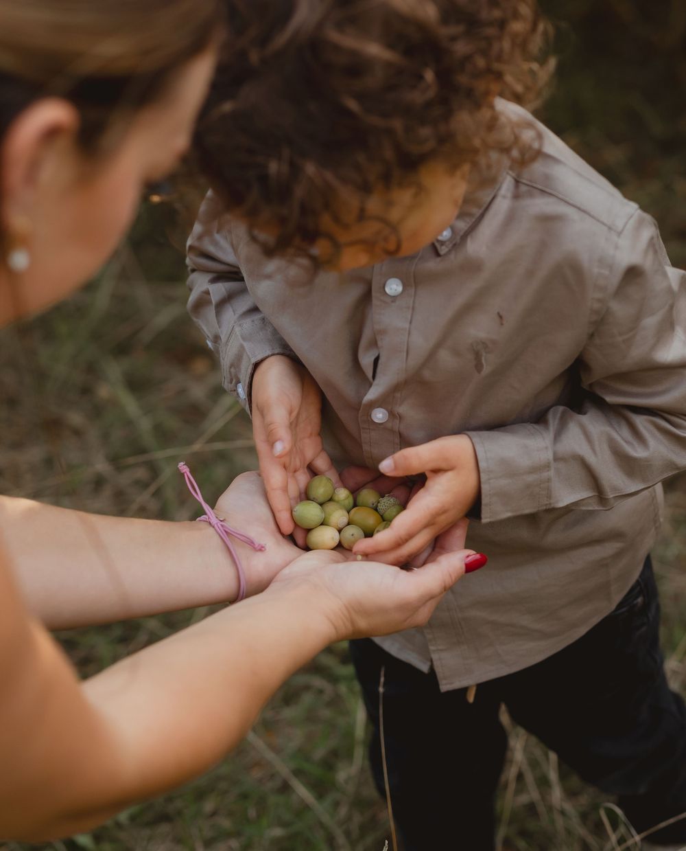 Hands exchanging freshly picked olives in a natural outdoor setting.