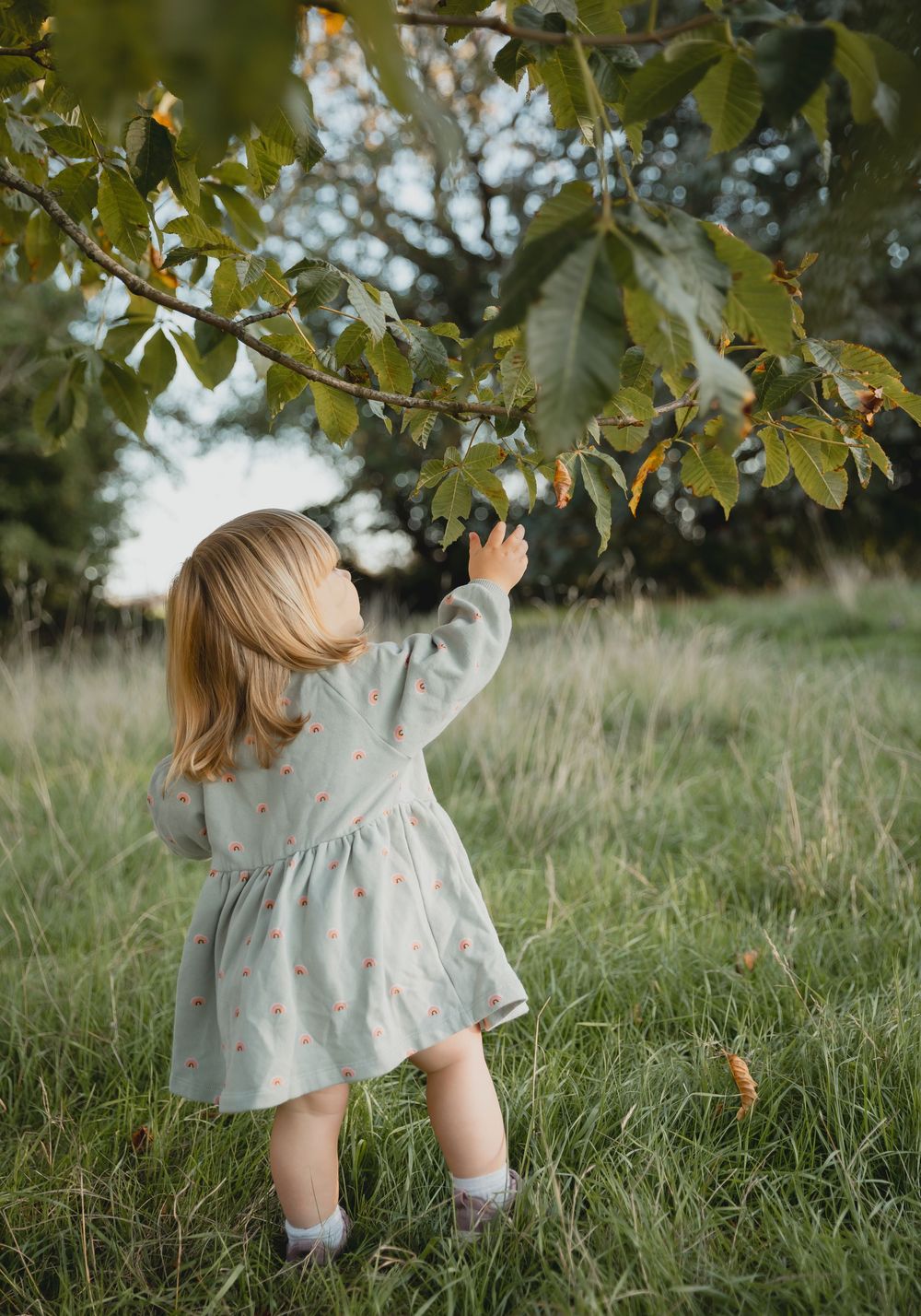 Small child in a floral dress plays in a grassy field on a sunny day, reaching up towards tree branches.