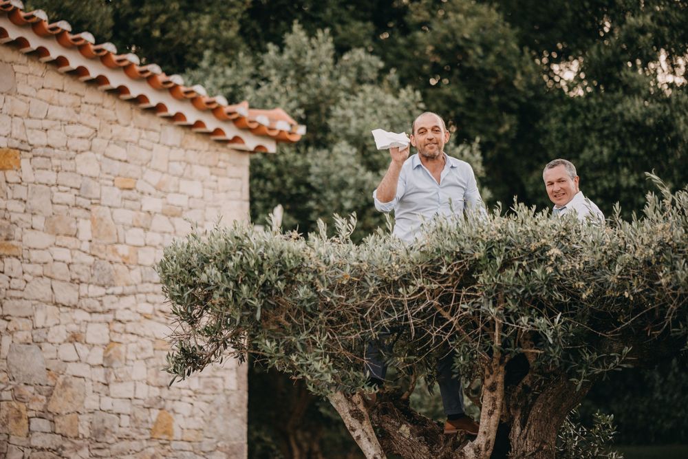 A rustic stone building with an olive tree in the Mediterranean countryside.