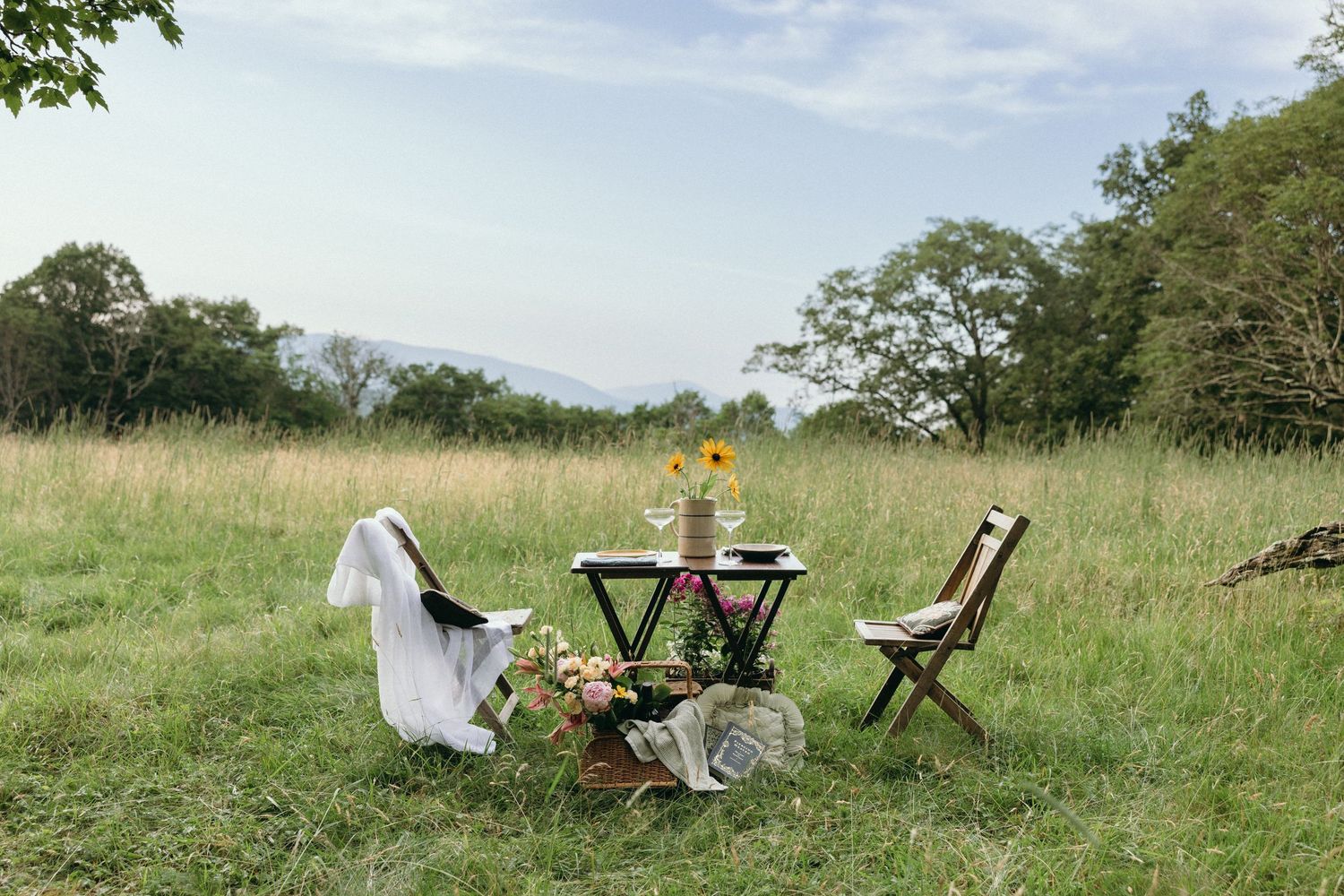 Outdoor wedding setup with vintage furniture and decor in a grassy meadow. NC Editorial wedding photographer for historic venue
