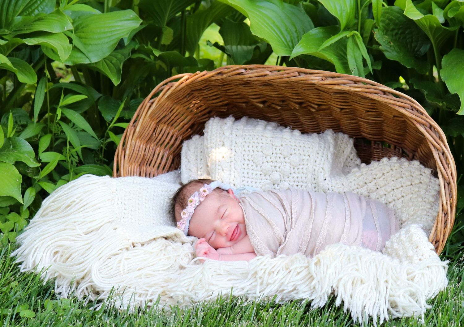 Newborn photo session