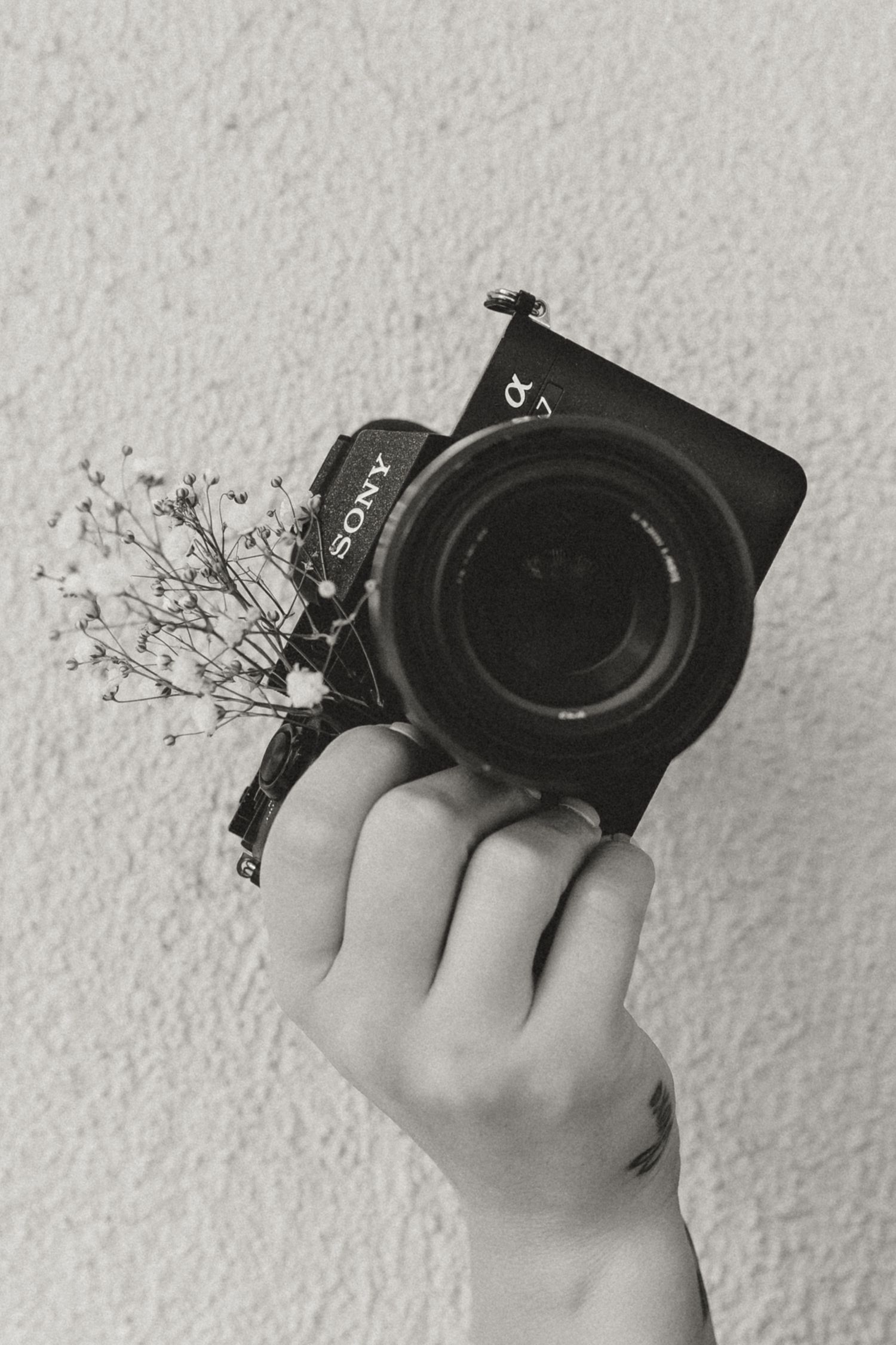 A person wearing a knit scarf and sweater holds a camera while photographing outdoors.
