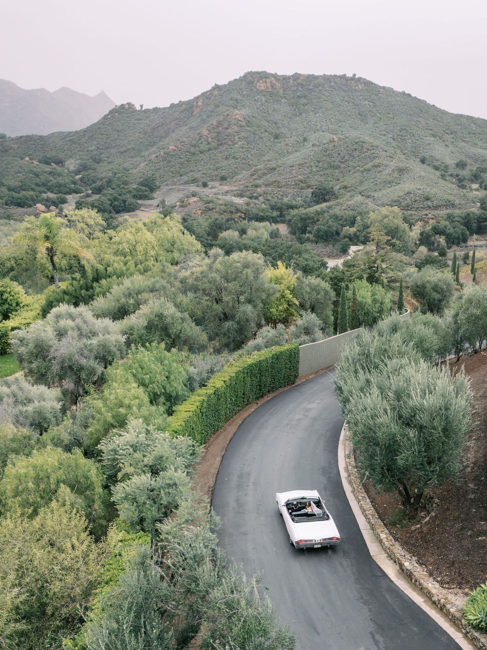 A vintage convertible car drives down a winding mountain road surrounded by lush green trees and olive groves.