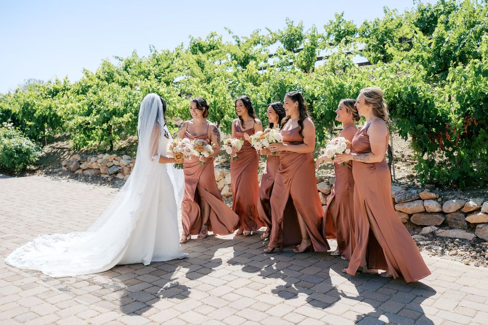 Bride in white gown and veil with bridesmaids in terracotta dresses holding bouquets at vineyard wedding.