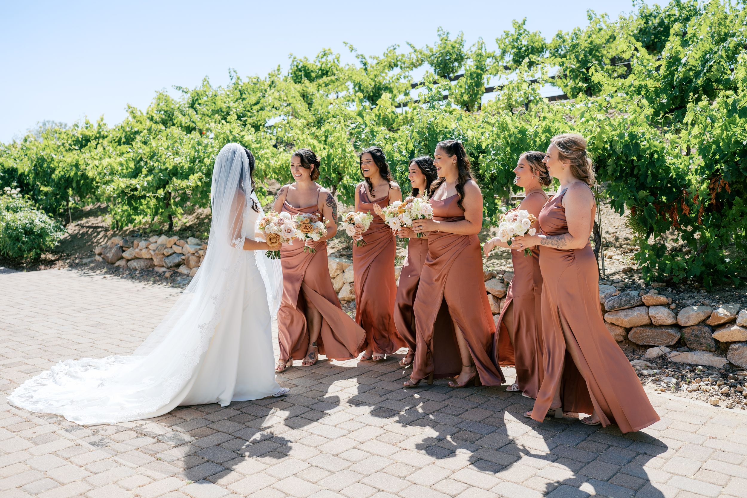 Bride in white gown and veil with bridesmaids in terracotta dresses holding bouquets at vineyard wedding.