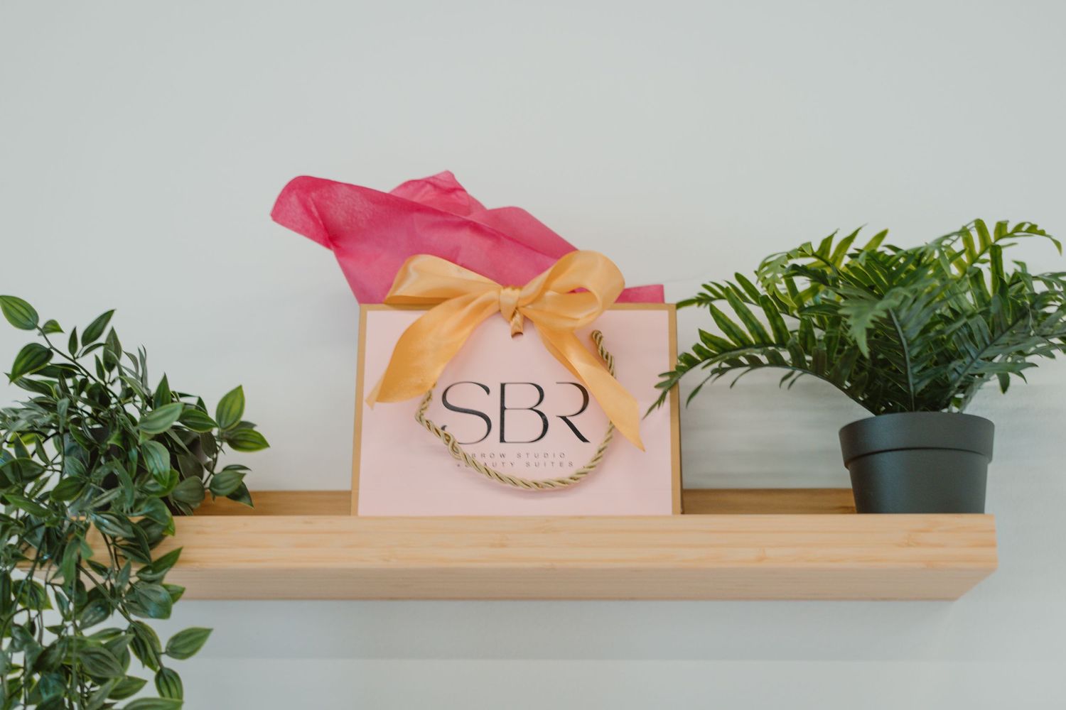 Pink gift bag with SBR logo displayed on wooden shelf with decorative plants.