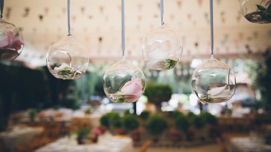 Elegant wedding reception decor featuring hanging glass globe terrariums with succulents and pink roses.