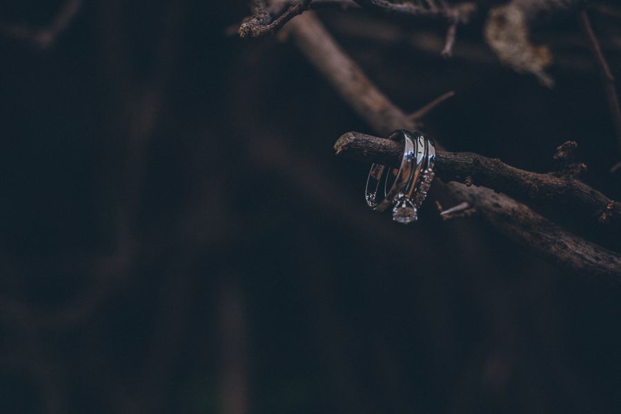 Wedding rings hanging on a dark tree branch in moody, dark bokeh background.