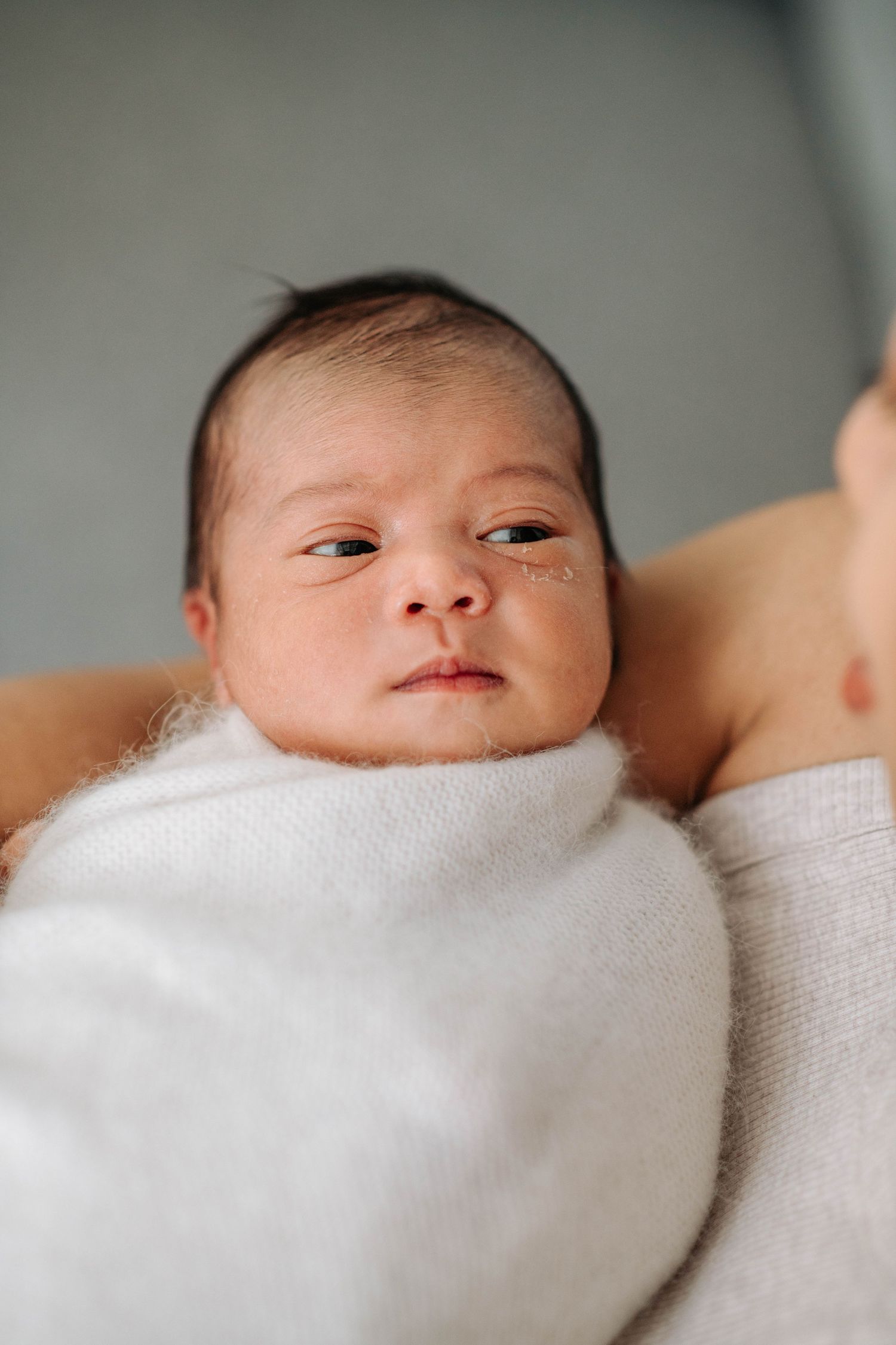 Close-up portrait of an alert newborn baby wrapped in white blanket.