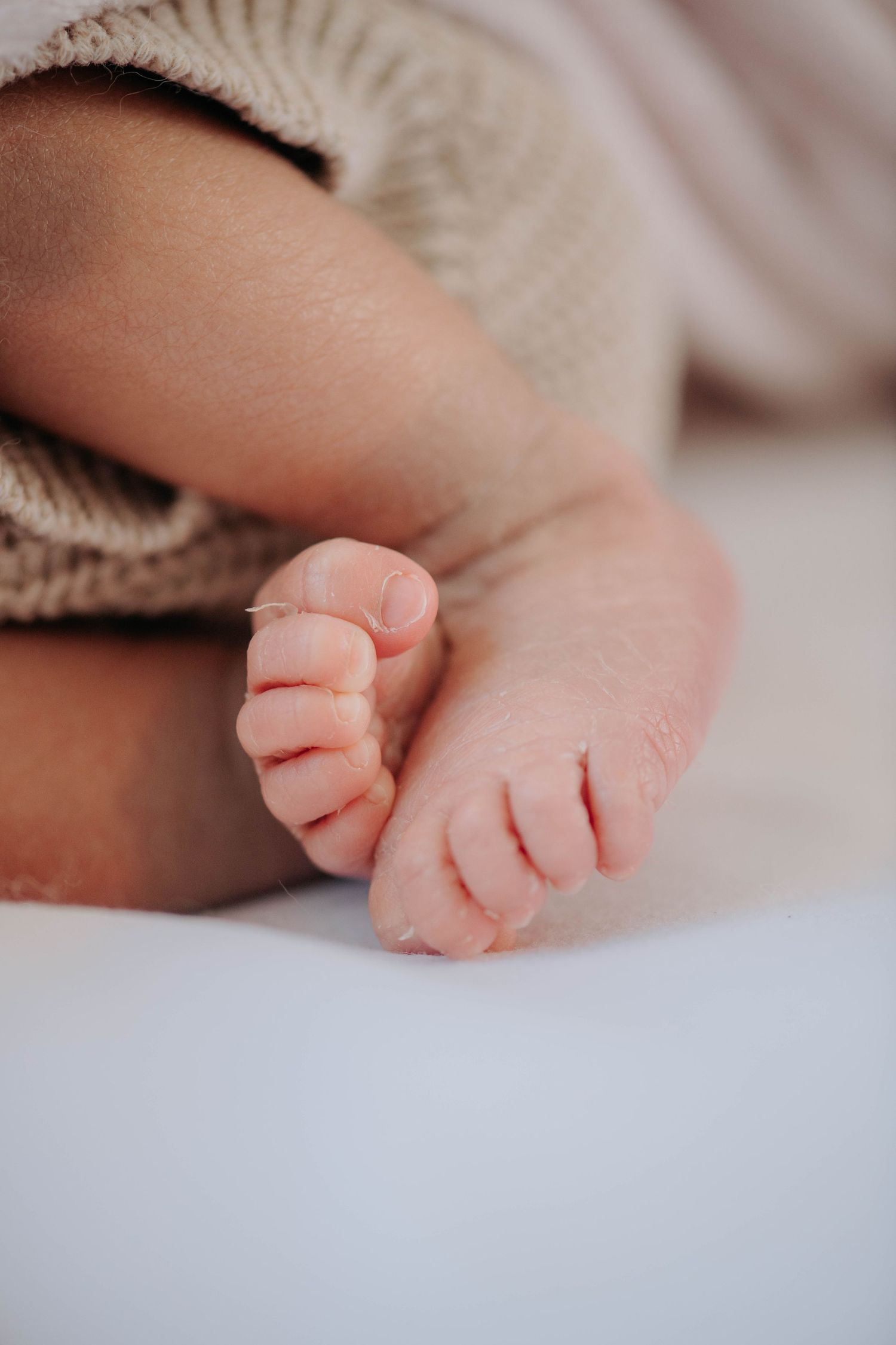 Close-up of tiny newborn baby feet wrapped in a knit blanket.