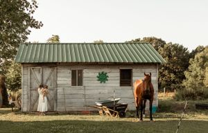 Rural scene with horse and small wooden building at sunset.