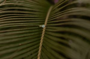 Diamond engagement ring balanced on a palm frond with soft focus background.