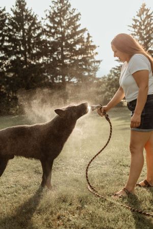A person plays with their black dog in a misty backyard at sunset near pine trees.