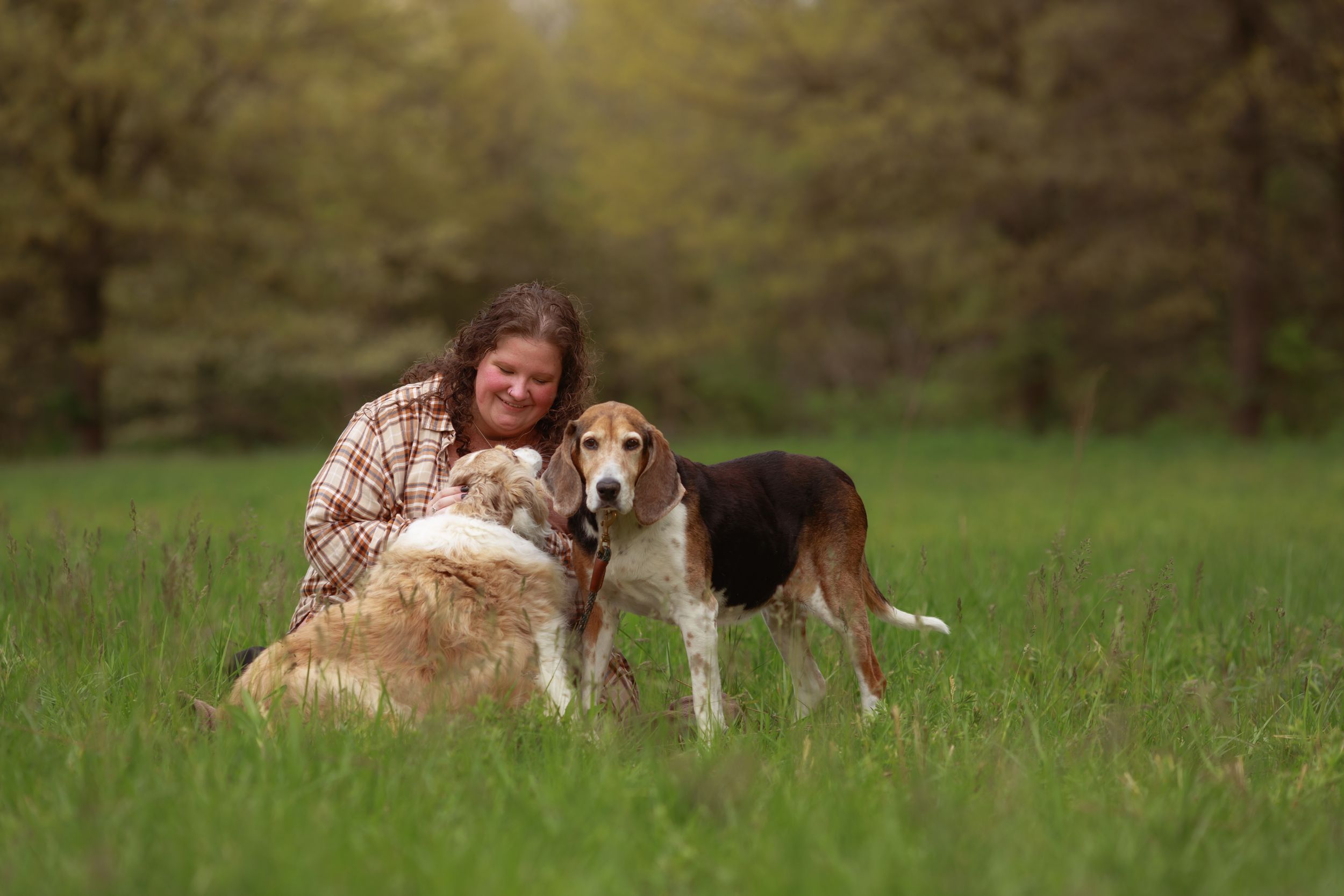 Woman giving her two old dogs some love and attention in the park.