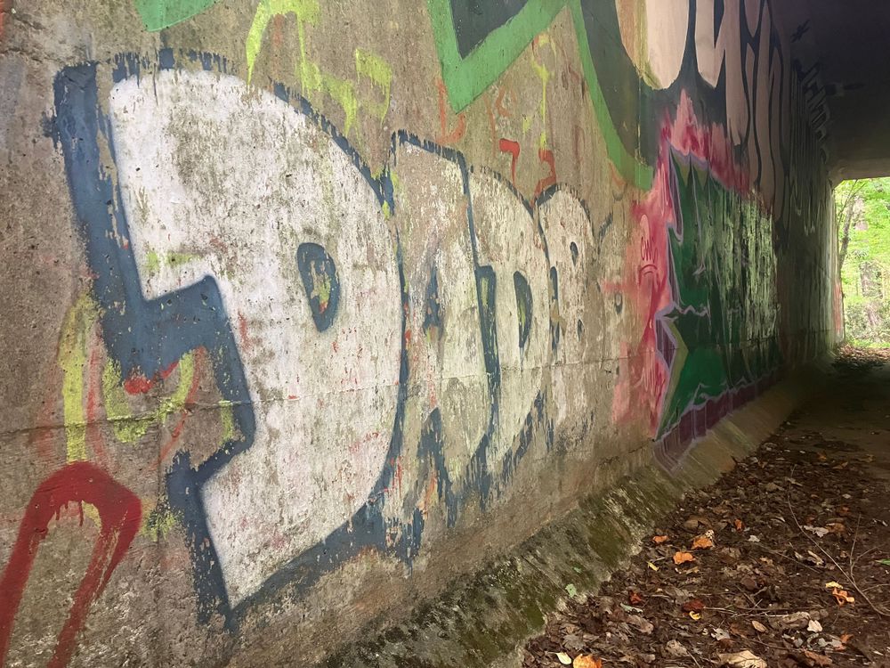 White graffiti art on concrete tunnel wall with fallen leaves on ground.