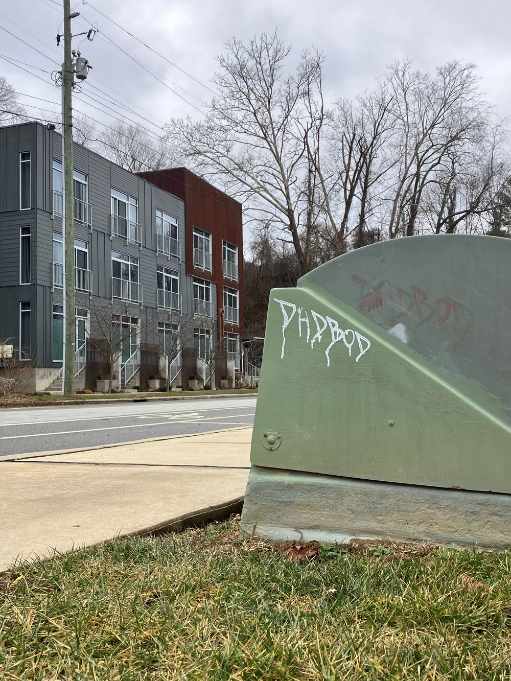 Four connected photos showing a green skate ramp or quarter pipe against an urban residential backdrop with power lines.