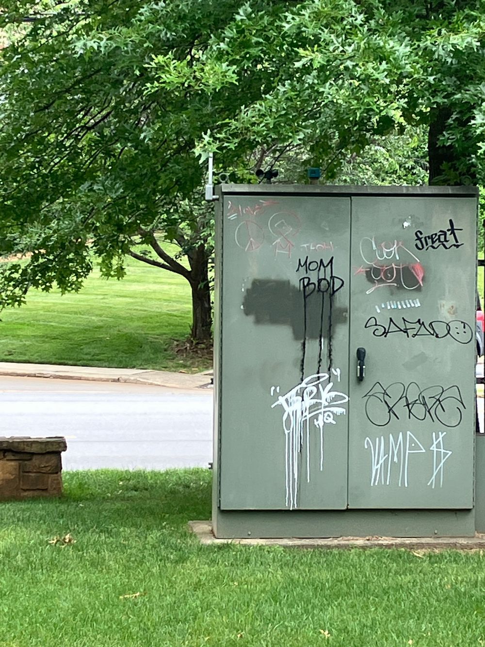 A series of electrical utility boxes covered in graffiti tags stand in a grassy area near trees.