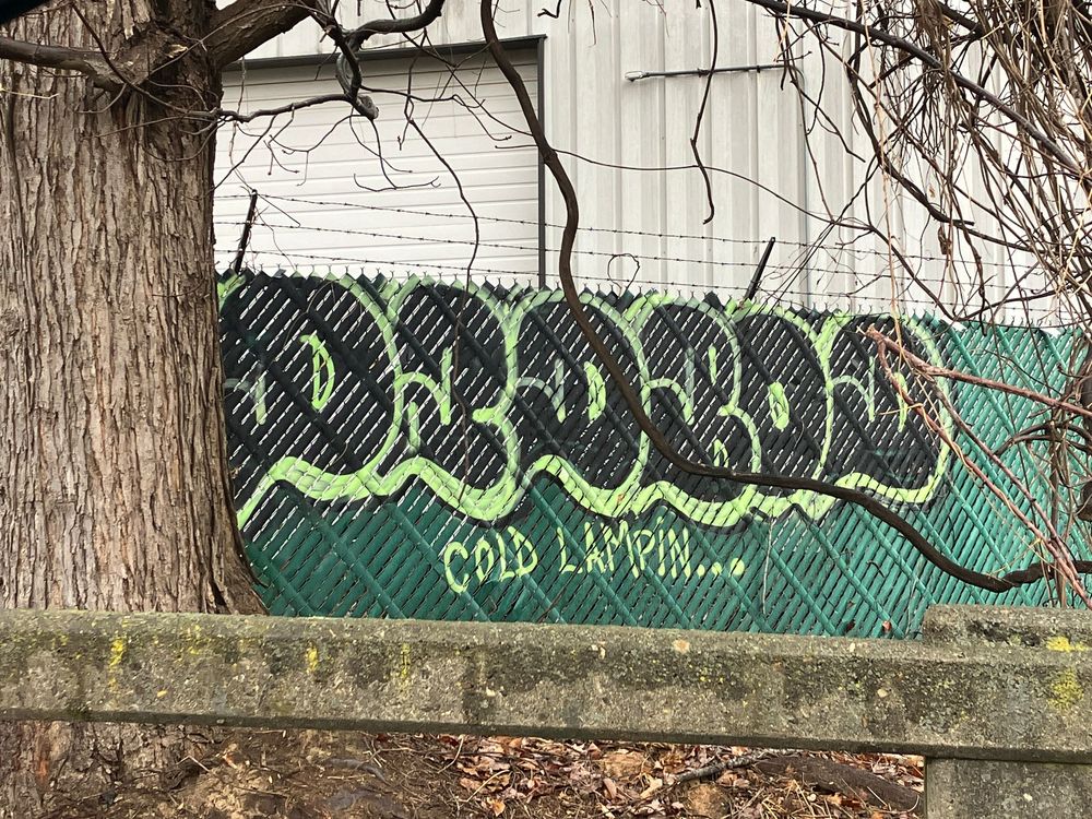 A long concrete wall covered in green graffiti art stretches along a path with bare trees in winter.