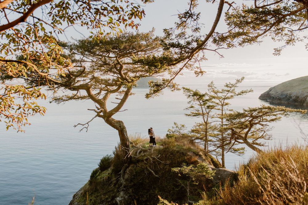 Scenic coastal viewpoint with couple silhouetted against ocean and trees.