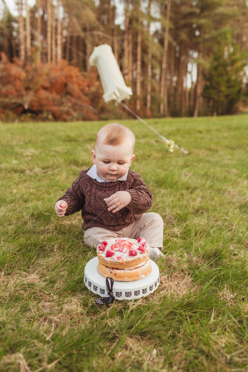 Baby enjoying first birthday cake smash session outdoors on grassy hill.