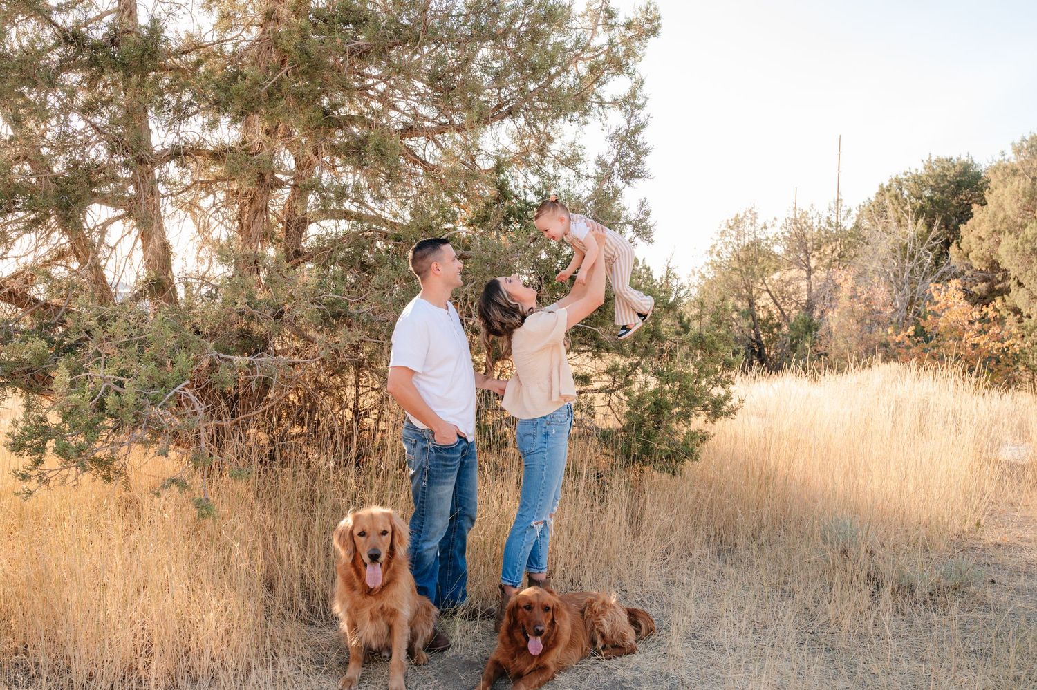 A couple stands in a golden field with two brown dogs during sunset while surrounded by autumn trees.