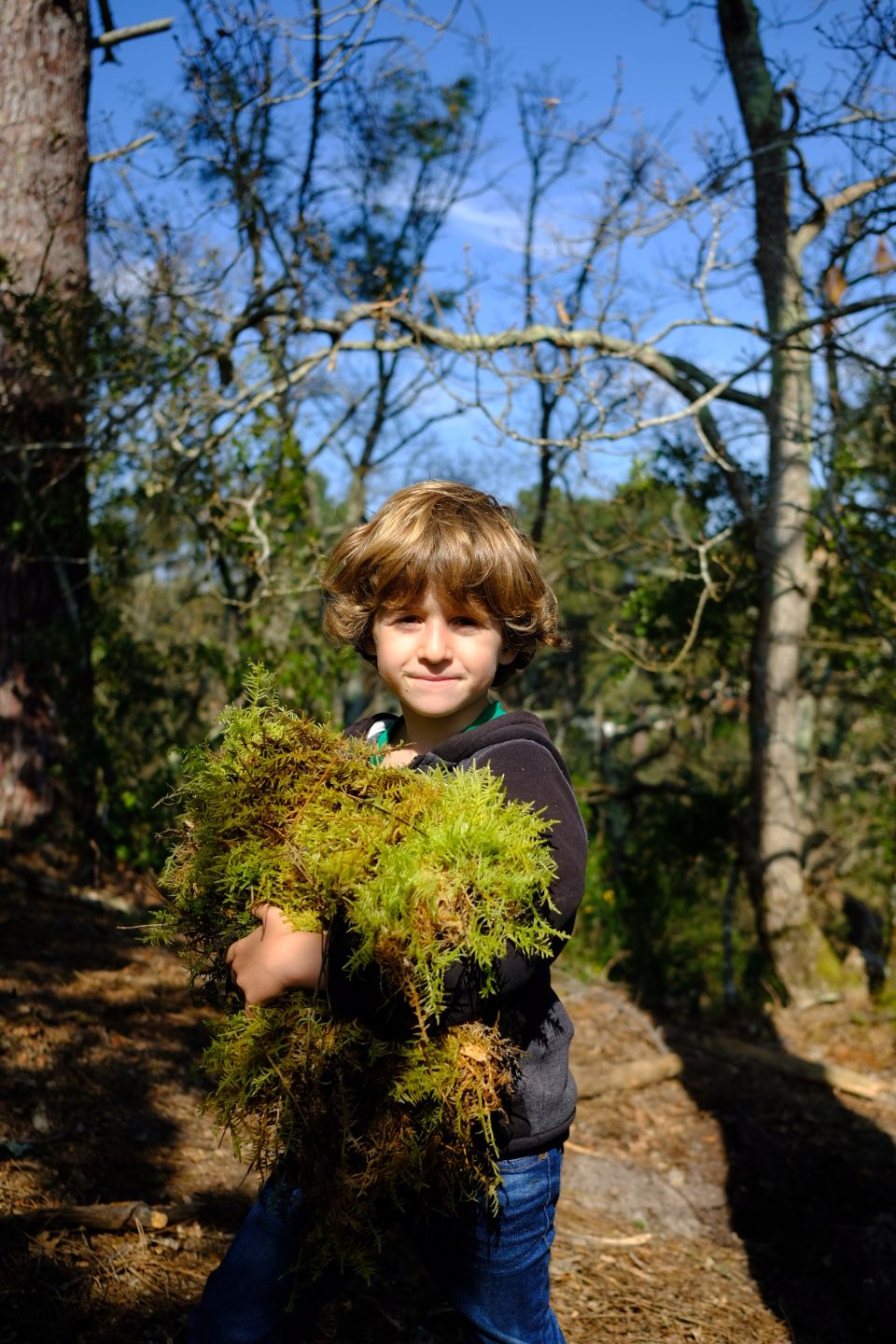 Young child holding green moss found in a sunlit forest.
