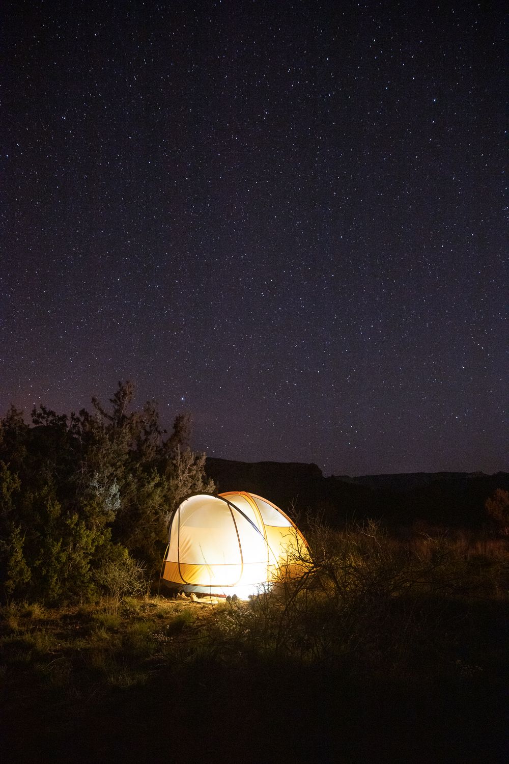 yellow tent lit up underneath purple starry sky surrounded by small green bushes